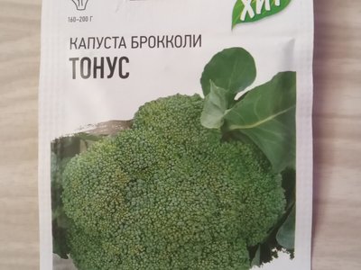 Тонус