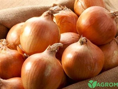 Халцедон