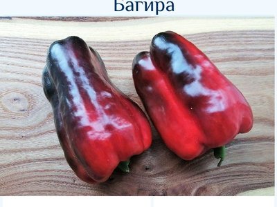 Багира