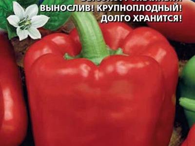 Сибиряк